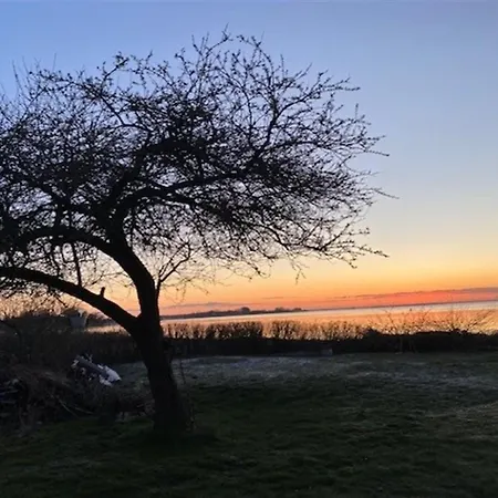 Viveke - 10m From The Sea By Interhome Feriehus *