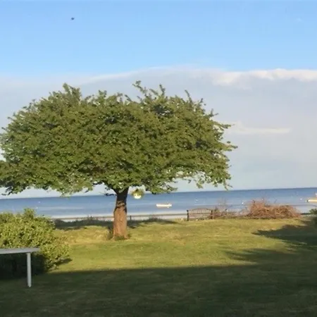 Viveke - 10m From The Sea By Interhome