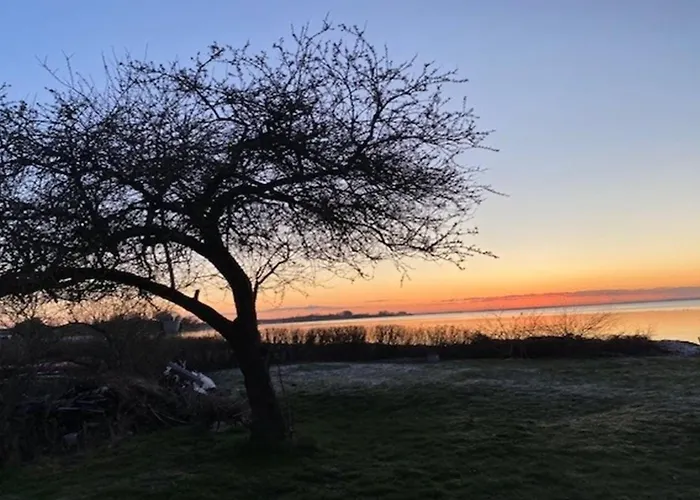 Viveke - 10m From The Sea By Interhome Сasa de vacaciones *