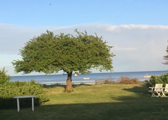 Viveke - 10m From The Sea By Interhome